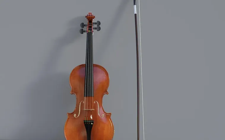 Despacito with Violon