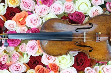 Despacito with Violon